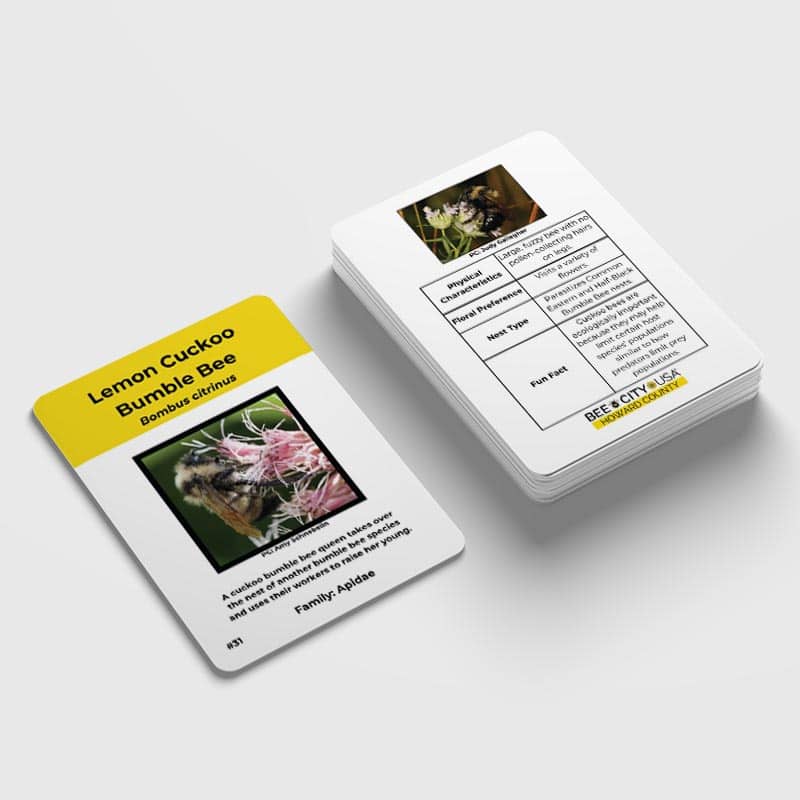 Howard County Bee City USA Trading Cards